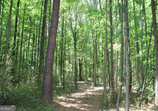 4th image of 1 Neese Commerce Road, Commerce, GA 30529 | MLS# 10766305