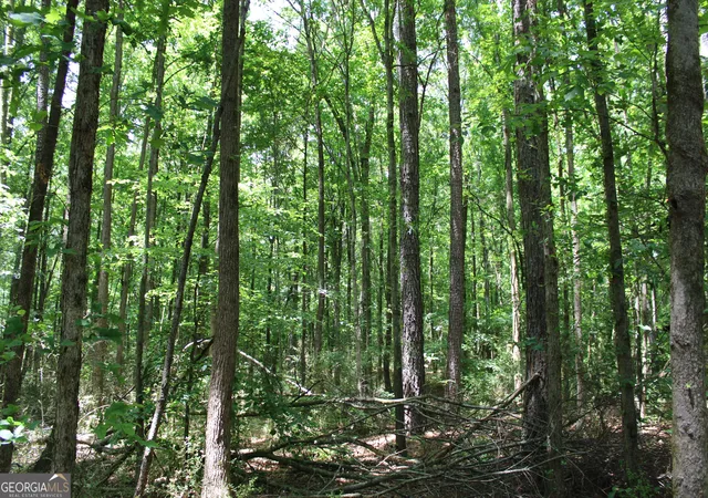 5th image of 1 Neese Commerce Road, Commerce, GA 30529 | MLS# 10766305