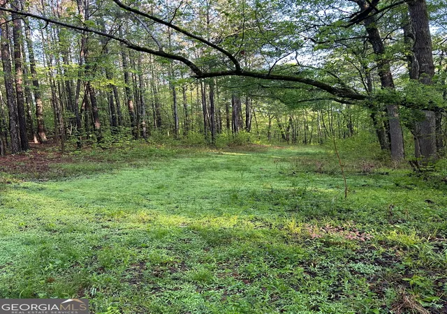 Photo 1 of Sale Pending at 1433 Cleveland Farm Rd, Locust Grove, GA 30248 | MLS# 10756223 | Listing updated on 2026-09-15