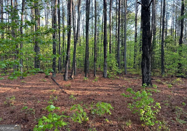 Photo 3 of Sale Pending at 1433 Cleveland Farm Rd, Locust Grove, GA 30248 | MLS# 10756223 | Listing updated on 2026-09-15
