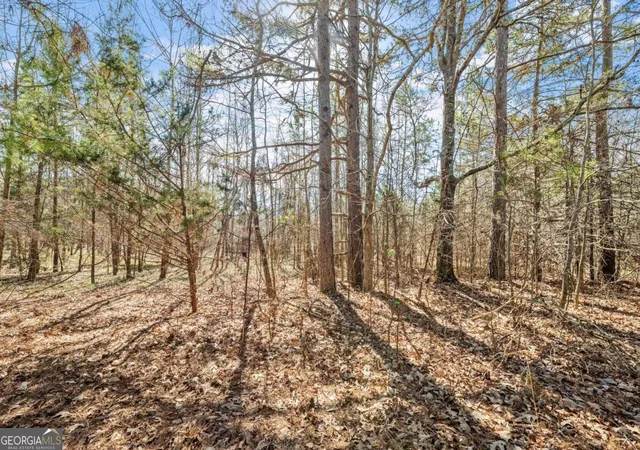 Photo 3 of Land for sale at 4 W Farm Rd, Jefferson, GA 30549 | MLS# 10582714 | Listing updated on 2026-08-26
