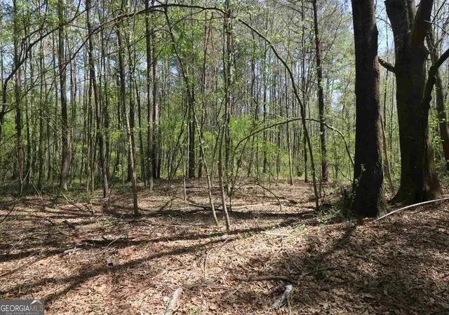 4th image of 0 Old Conyers Rd, Stockbridge, GA 30281 | MLS# 10684705