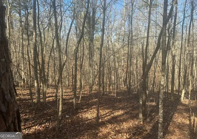 16th image of 0 George Green Rd, Tallapoosa, GA 30176 | MLS# 10614283