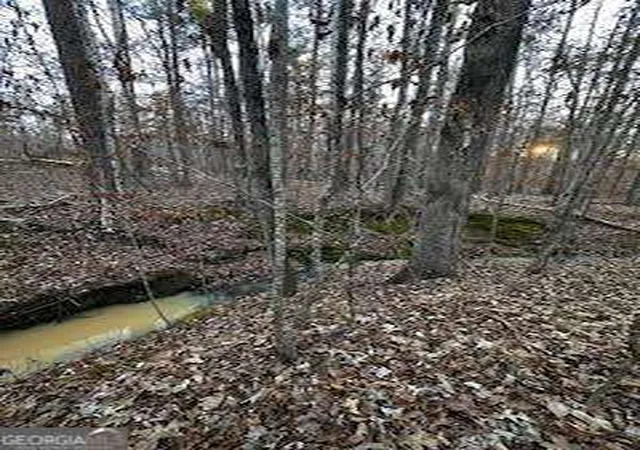 Photo 3 of Land for sale at 0 River Ridge Trl, Sparta, GA 31087 | MLS# 10638439 | Listing updated on 2026-02-03