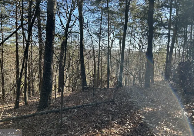 1st image of 00000 Twin River Orchard Rd #TRACT 4, Demorest, GA 30535 | MLS# 10663816