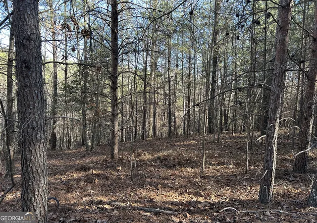 2nd image of 00000 Twin River Orchard Rd #TRACT 4, Demorest, GA 30535 | MLS# 10663816