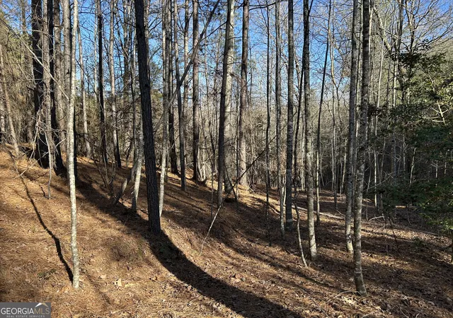 4th image of 00000 Twin River Orchard Rd #TRACT 4, Demorest, GA 30535 | MLS# 10663816