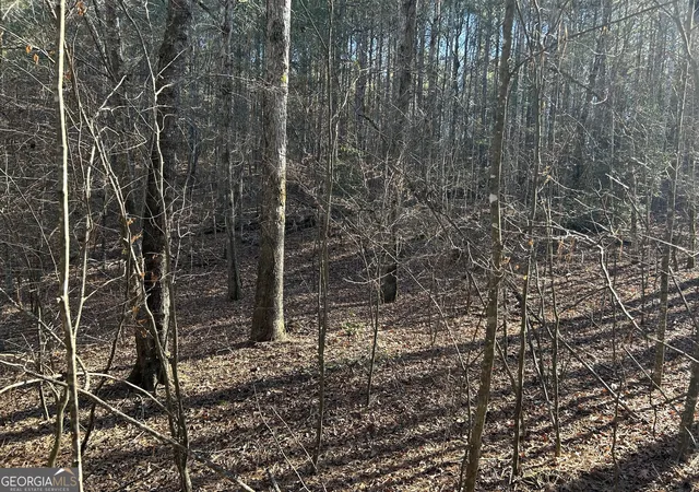 5th image of 00000 Twin River Orchard Rd #TRACT 4, Demorest, GA 30535 | MLS# 10663816