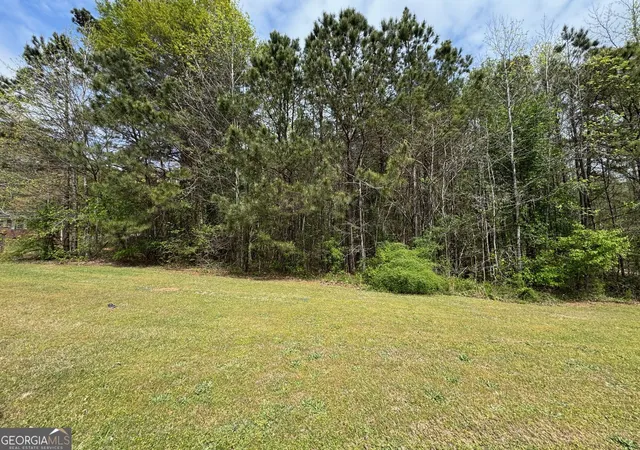 1st image of 0 Hwy 138, Jonesboro, GA 30236 | MLS# 10813315