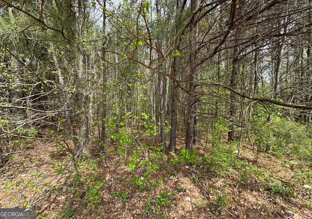 Photo 3 of Land for sale at 0 Highway 138, Jonesboro, GA 30236 | MLS# 10813315 | Listing updated on 2026-08-10