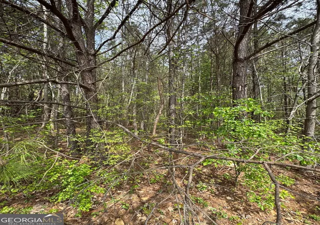 4th image of 0 Hwy 138, Jonesboro, GA 30236 | MLS# 10813315