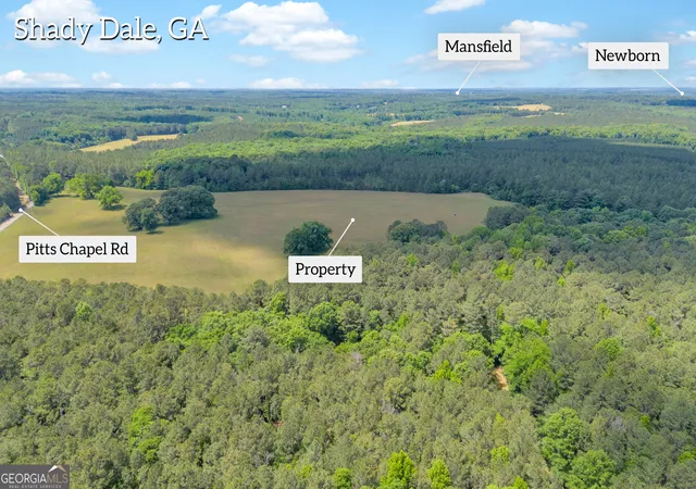 2nd image of Lot C 0 Pitts Chapel Rd, Monticello, GA 31064 | MLS# 10766129