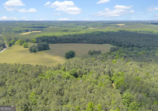 4th image of Lot C 0 Pitts Chapel Rd, Monticello, GA 31064 | MLS# 10766129