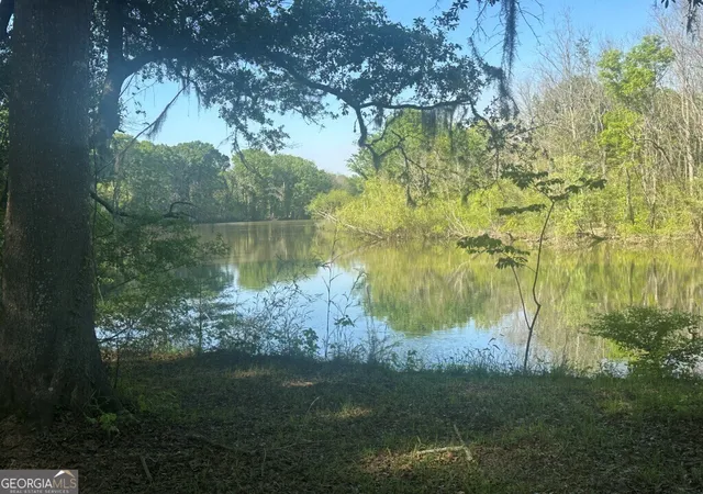 2nd image of 0 Old Poor Robin Rd, Sylvania, GA 30467 | MLS# 10727846