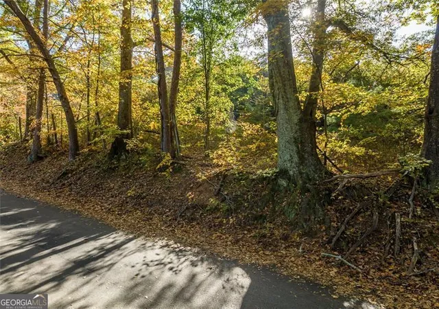 Photo 3 of Land for sale at 286 Lowry St, Ball Ground, GA 30107 | MLS# 10637557 | Listing updated on 2026-05-31