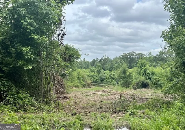 2nd image of 000 Folds Rd (tract D 2267 Acres), Carrollton, GA 30116 | MLS# 10760309