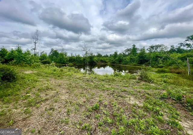 3rd image of 000 Folds Rd (Tract D 2267 Acres), Carrollton, GA 30116 | MLS# 10760309