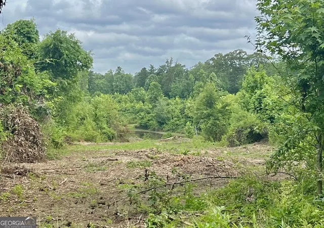 4th image of 000 Folds Rd (Tract D 2267 Acres), Carrollton, GA 30116 | MLS# 10760309