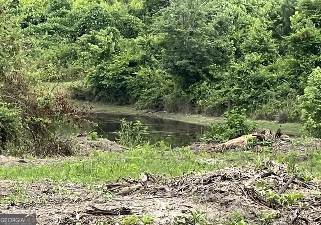 5th image of 000 Folds Rd (Tract D 2267 Acres), Carrollton, GA 30116 | MLS# 10760309