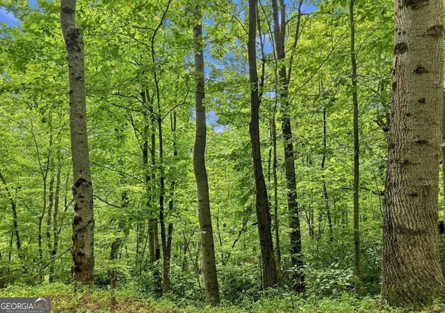 Photo 3 of Land for sale at Lt 27 Deer Crest Rd #27, Blue Ridge, GA 30513 | MLS# 10824372 | Listing updated on 2026-08-26