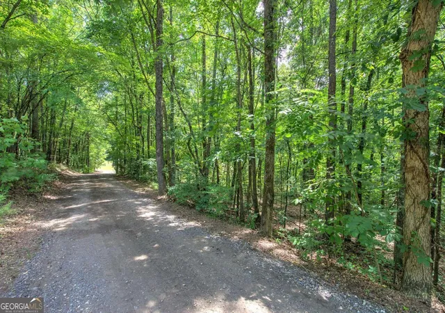 68th image of 331 Salacoa Rd Se, Fairmount, GA 30139 | MLS# 10791367