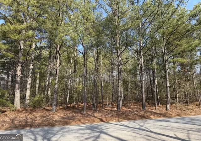 Photo 1 of Land for sale at 0 Carnes Dr, Fayetteville, GA 30214 | MLS# 10694938 | Listing updated on 2026-09-04