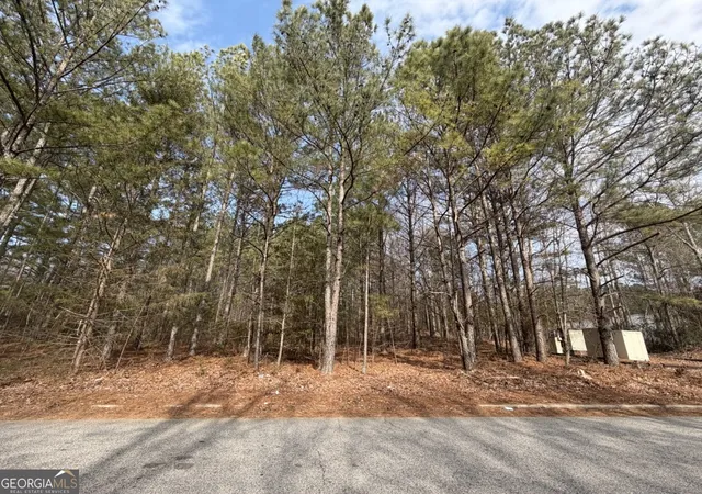 Photo 2 of Land for sale at 0 Carnes Dr, Fayetteville, GA 30214 | MLS# 10694938 | Listing updated on 2026-09-04