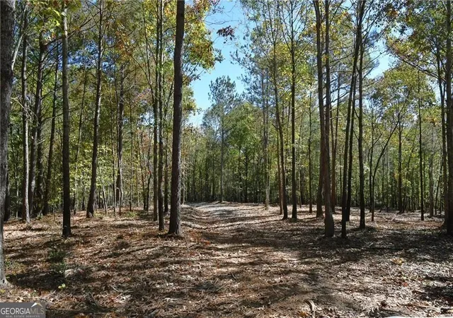 4th image of 352 Mulberry Rd, Winder, GA 30680 | MLS# 10830462