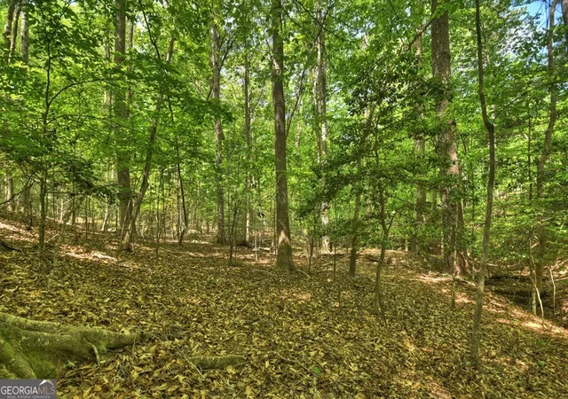 70th image of 40 Cadet Ct, Ellijay, GA 30540 | MLS# 10757606