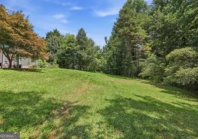 Homes for sale in Mount Airy, GA | 130 Field View Dr, Mount Airy, GA 30563 | MLS# 10798955
