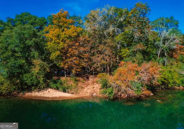 Photo 4 of Land for sale at 464 Old Dames Fry Rd, Juliette, GA 31046 | MLS# 10648752 | Listing updated on 2026-08-13