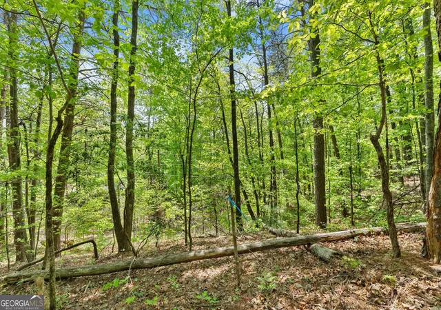 4th image of 00 Monroe Ridge Rd, Sautee Nacoochee, GA 30571 | MLS# 10740525