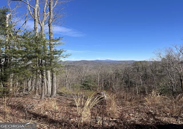 Photo 1 of Land for sale at 0 Eastman Mtn Rd, Tiger, GA 30576 | MLS# 10836464 | Listing updated on 2026-09-14