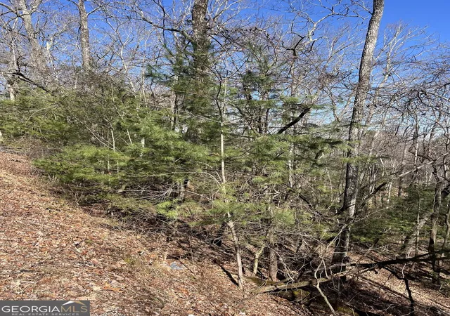 Photo 2 of Land for sale at 0 Eastman Mtn Rd, Tiger, GA 30576 | MLS# 10836464 | Listing updated on 2026-09-14