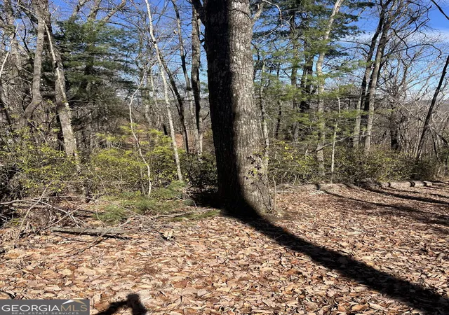 Photo 3 of Land for sale at 0 Eastman Mtn Rd, Tiger, GA 30576 | MLS# 10836464 | Listing updated on 2026-09-14
