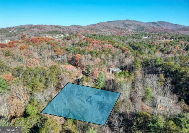 43rd image of 541 Rizzitello Ln, Blairsville, GA 30512 | MLS# 10820339