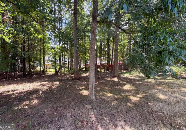 33rd image of 310 Hunters Chase, Mcdonough, GA 30253 | MLS# 10828556