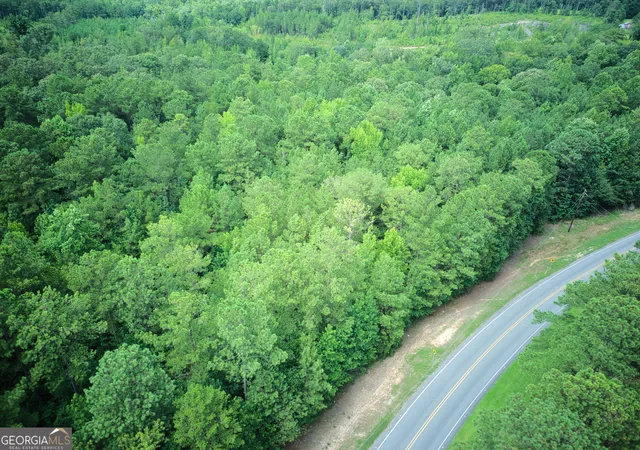 2nd image of 0 Parcel 200 Judge Brown Road, Valley, AL 36854 | MLS# 10828786