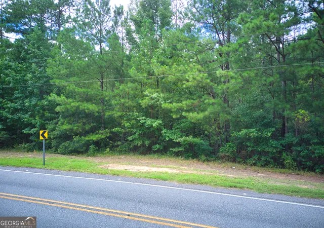4th image of 0 Parcel 200 Judge Brown Road, Valley, AL 36854 | MLS# 10828786