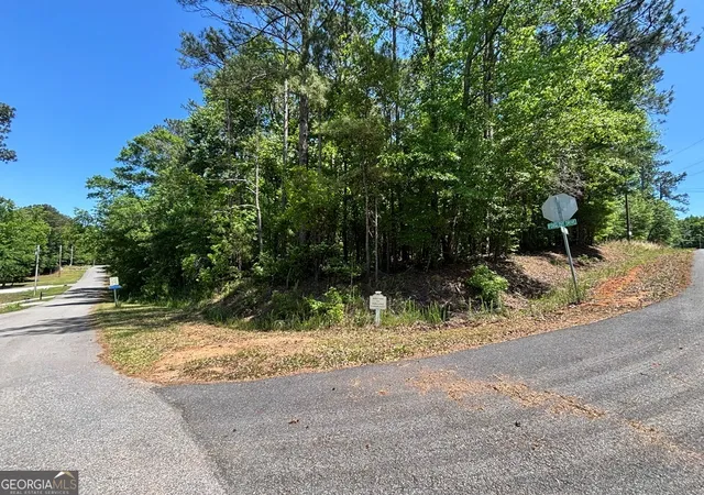 Homes for sale in Sparta, GA | Lot 663 Foxglove Dr, Sparta, GA 31087 | MLS# 10770889