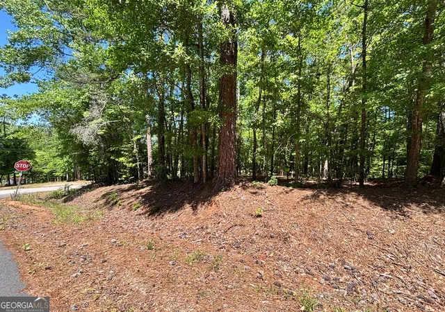 Homes for sale in Sparta, GA | Lot 663 Foxglove Dr, Sparta, GA 31087 | MLS# 10770889