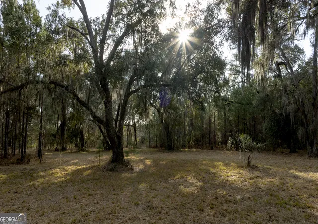 Photo 4 of House for sale at 4577 N Coastal Hwy, Fleming, GA 31309 | MLS# 10717815 | Listing updated on 2026-07-28