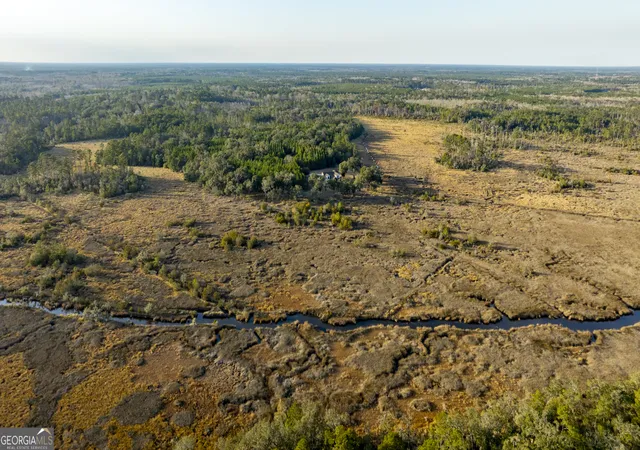 99th image of 4577 N Coastal Hwy, Fleming, GA 31309 | MLS# 10717815