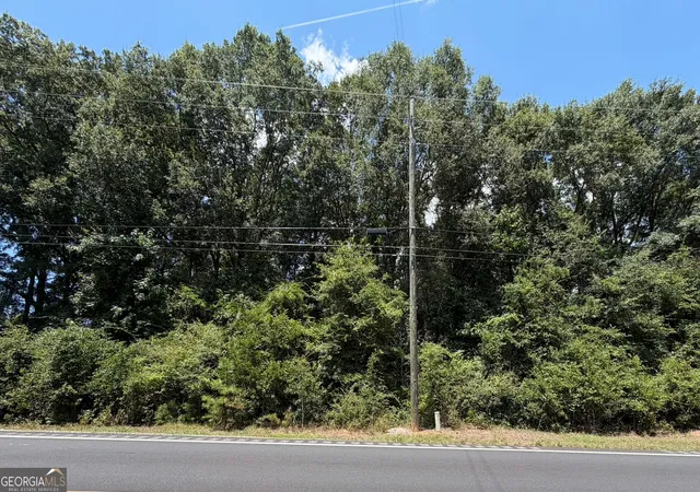 1st image of 0 Us 431, Lafayette, AL 36862 | MLS# 10823663