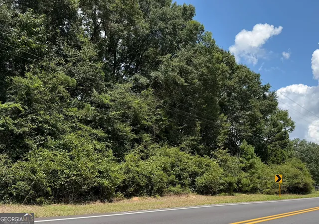 2nd image of 0 Us 431, Lafayette, AL 36862 | MLS# 10823663
