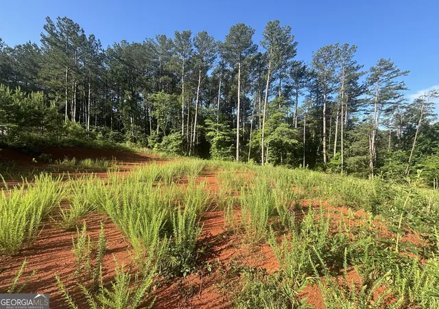 Photo 2 of Sale Pending at 1944 Davis Rd, Eastanollee, GA 30538 | MLS# 10832891 | Listing updated on 2026-09-04
