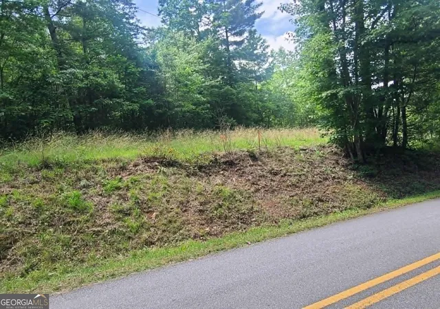 image of 201 Spookhaven Ln, Clarkesville, GA 30523 | MLS# 10775537