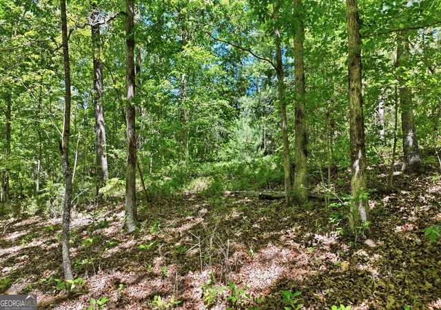 image of 201 Spookhaven Ln, Clarkesville, GA 30523 | MLS# 10775537