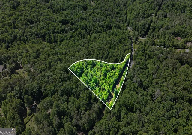 image of 201 Spookhaven Ln, Clarkesville, GA 30523 | MLS# 10775537