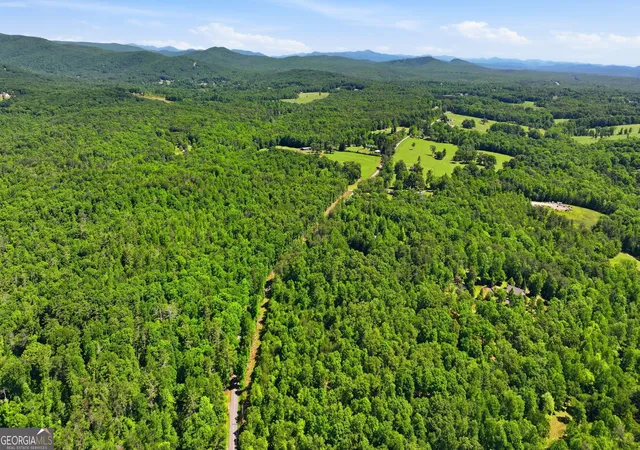 image of 201 Spookhaven Ln, Clarkesville, GA 30523 | MLS# 10775537